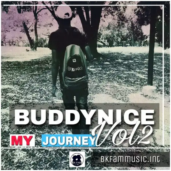 Buddynice - Hands Up ft. Long-Zee  (Accapella)
